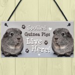 Spoiled Guinea Pigs Live Here Handmade Gift Sign For Guinea Pigs