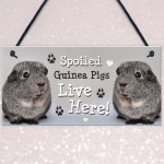 Spoiled Guinea Pigs Live Here Handmade Gift Sign For Guinea Pigs