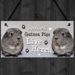 Spoiled Guinea Pigs Live Here Handmade Gift Sign For Guinea Pigs