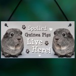 Spoiled Guinea Pigs Live Here Handmade Gift Sign For Guinea Pigs