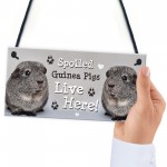 Spoiled Guinea Pigs Live Here Handmade Gift Sign For Guinea Pigs