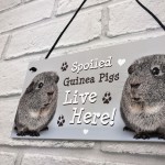 Spoiled Guinea Pigs Live Here Handmade Gift Sign For Guinea Pigs