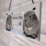 Spoiled Guinea Pigs Live Here Handmade Gift Sign For Guinea Pigs