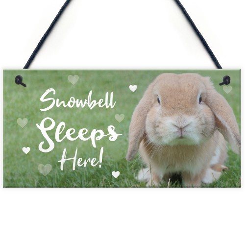 Rabbit Sleeps Here Sign Rabbit Lover Gift Ideas Door Hutch Sign