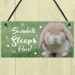 Rabbit Sleeps Here Sign Rabbit Lover Gift Ideas Door Hutch Sign