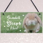 Rabbit Sleeps Here Sign Rabbit Lover Gift Ideas Door Hutch Sign