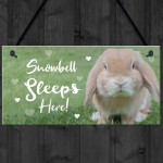 Rabbit Sleeps Here Sign Rabbit Lover Gift Ideas Door Hutch Sign