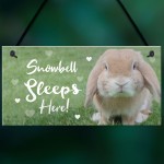 Rabbit Sleeps Here Sign Rabbit Lover Gift Ideas Door Hutch Sign