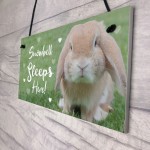 Rabbit Sleeps Here Sign Rabbit Lover Gift Ideas Door Hutch Sign