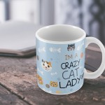 Crazy Cat Lady Mug Funny Mum Nan Birthday Xmas Gift From Cat