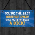 Rude Funny Gift For Brother Hanging Plaque Quirky Brother Gift