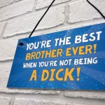 Rude Funny Gift For Brother Hanging Plaque Quirky Brother Gift