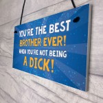 Rude Funny Gift For Brother Hanging Plaque Quirky Brother Gift