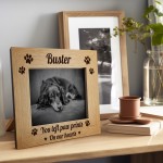 Personalised Dog Memorial Pet Frame 7x5 Custom Name Frame Pet