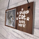 Funny Cat Sign Personalised Cat Signs SPOILED CAT LIVES HERE