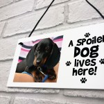 Personalised Dog Wall Plaque Novelty Dog Accessories Pet Gifts 