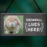 Novelty Sign For Rabbit PERSONALISED Bunny Sign Hutch Sign