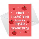 Quirky Mothers Day Birthday Card For Mum From Daughter Son