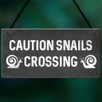 Funny Snails Crossing Garden Sign Novelty Hanging Garden Shed