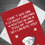 Funny Rude Christmas Card For Dad Mum From Cat Offensive Card