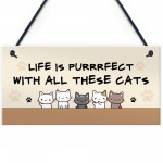 Life Is Perfect With All These Cats Home Sign Funny Gift