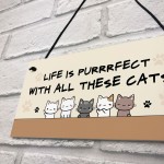 Life Is Perfect With All These Cats Home Sign Funny Gift