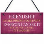 Funny Friendship Gift Sign Christmas Gift For Friend Best Friend