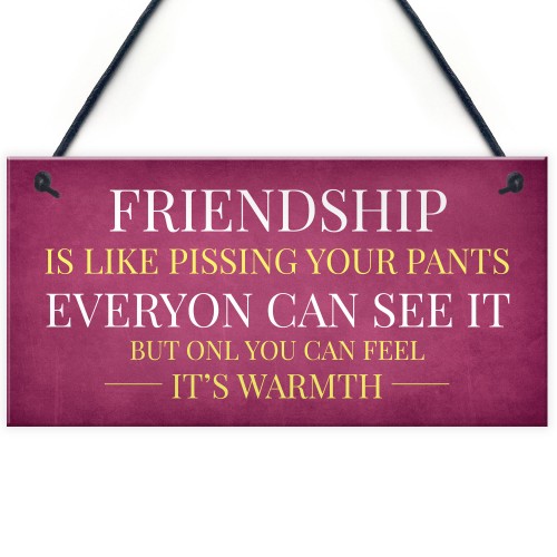 Funny Friendship Gift Sign Christmas Gift For Friend Best Friend