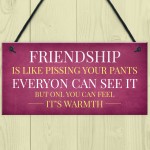 Funny Friendship Gift Sign Christmas Gift For Friend Best Friend