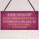 Funny Friendship Gift Sign Christmas Gift For Friend Best Friend