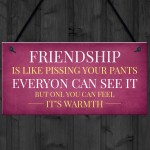 Funny Friendship Gift Sign Christmas Gift For Friend Best Friend