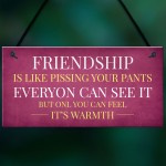 Funny Friendship Gift Sign Christmas Gift For Friend Best Friend