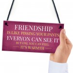 Funny Friendship Gift Sign Christmas Gift For Friend Best Friend