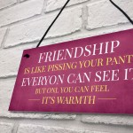 Funny Friendship Gift Sign Christmas Gift For Friend Best Friend