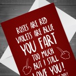 Funny Valentines Day Card Poem Card For Boyfriend Girlfriend