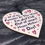 Funny Joke Mothers Day Gift For Mum Wooden Hanging Heart