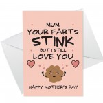 Mothers Day Funny Cards FARTS STINK Rude Humour Novelty Card