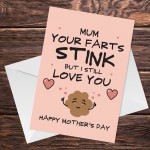 Mothers Day Funny Cards FARTS STINK Rude Humour Novelty Card