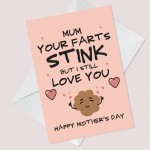 Mothers Day Funny Cards FARTS STINK Rude Humour Novelty Card