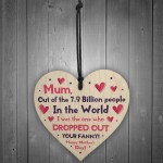 Funny Mothers Day Gift From Daughter Son Rude Wooden Heart