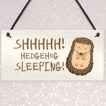 Funny Hedgehog Sign Garden Plaques Hedgehog Sleeping Outdoor