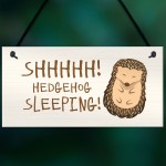 Funny Hedgehog Sign Garden Plaques Hedgehog Sleeping Outdoor