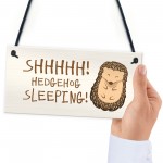 Funny Hedgehog Sign Garden Plaques Hedgehog Sleeping Outdoor