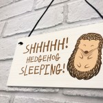 Funny Hedgehog Sign Garden Plaques Hedgehog Sleeping Outdoor