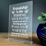 riendship Sign Funny Best Friend Birthday Christmas Gift Plaque