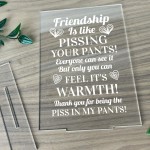 riendship Sign Funny Best Friend Birthday Christmas Gift Plaque