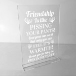 riendship Sign Funny Best Friend Birthday Christmas Gift Plaque