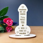 Funny Rude Friendship Plaque Novelty Birthday Gift For Friend