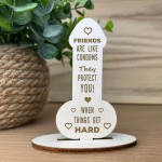 Funny Rude Friendship Plaque Novelty Birthday Gift For Friend