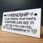 Friendship Gift Wood Sign Funny Best Friend Sign Gift For Women